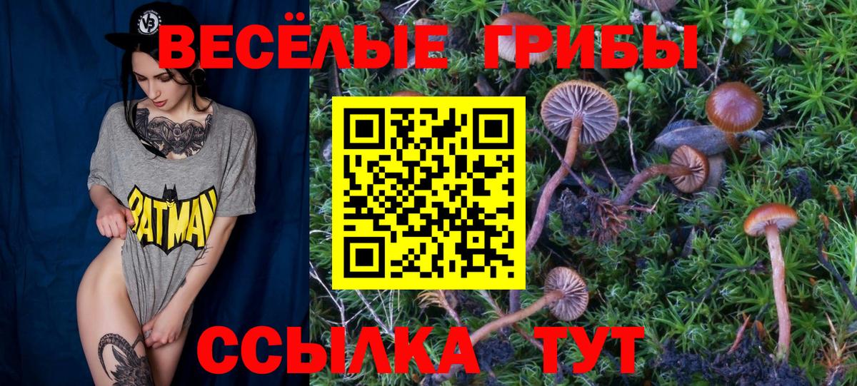 Галлюциногенные грибы Magic Shrooms  Галлюциногенные грибы прущие грибы  Вход с VPN  Туапсе 