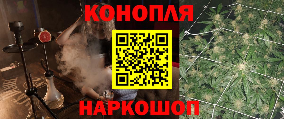 Туапсе  Бошки марихуана планчик  Каннабис Amnesia  Каннабис Bruce Banner  Вход с VPN  МАРИХУАНА сатива 